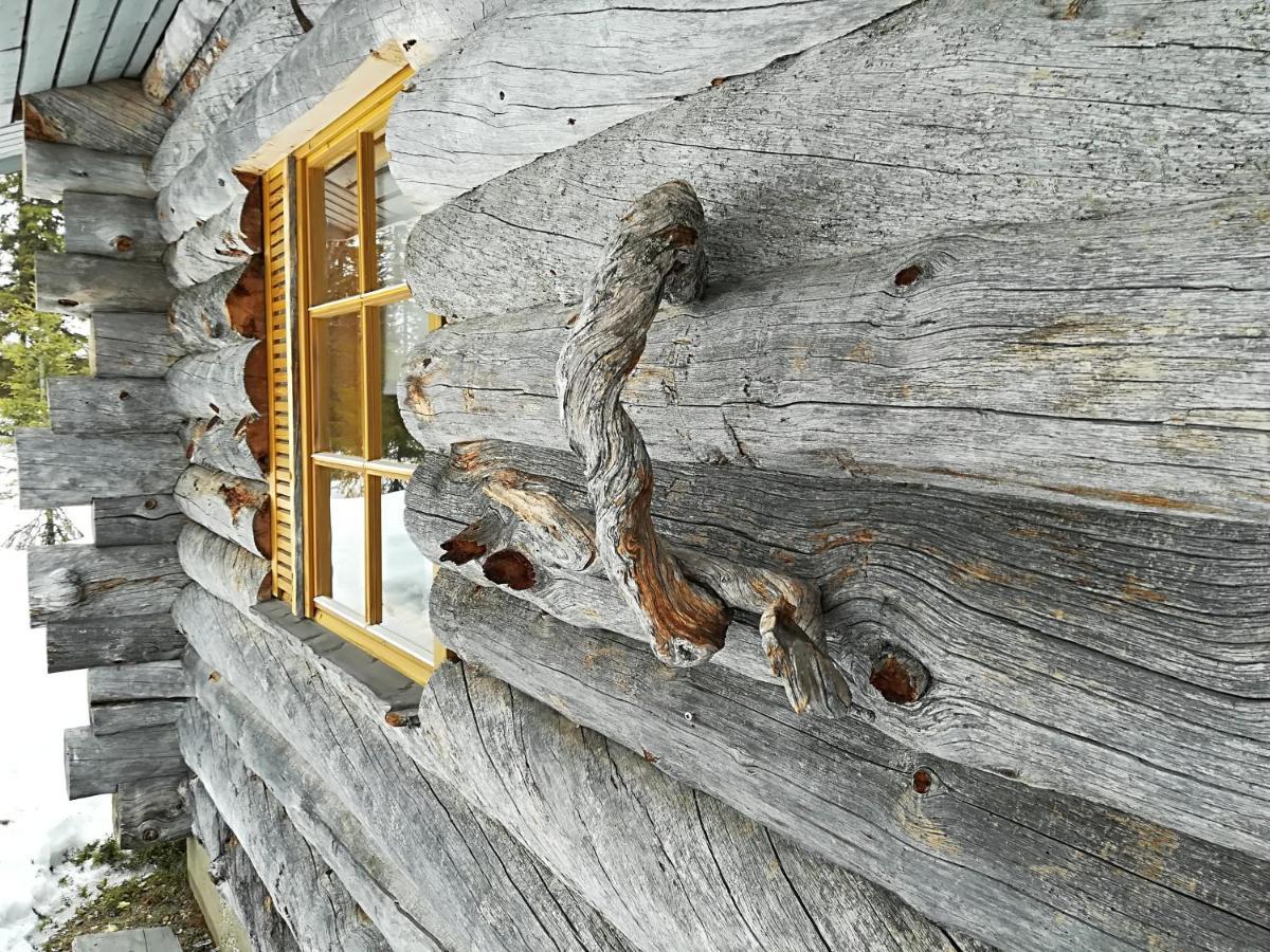 Logwood Chalet Luosto Extérieur photo