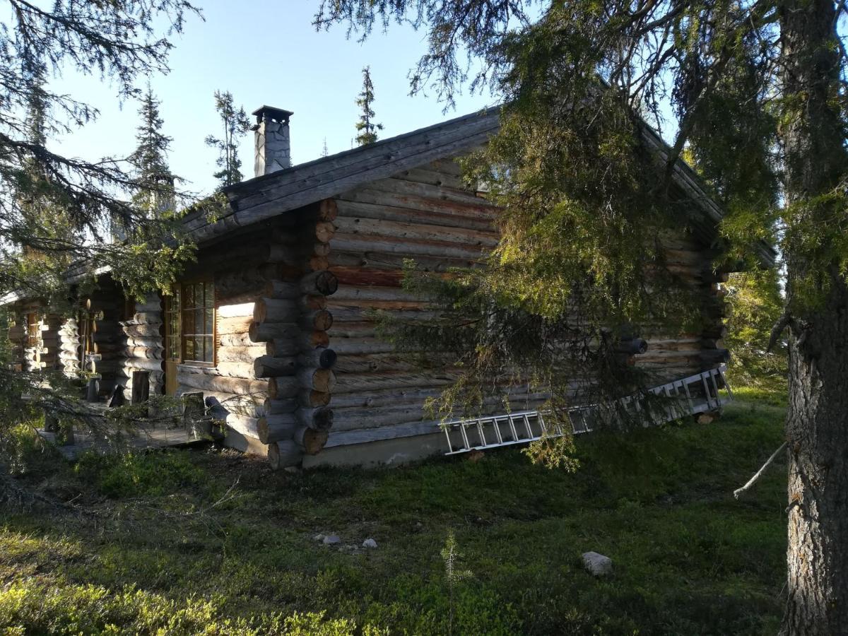 Logwood Chalet Luosto Extérieur photo