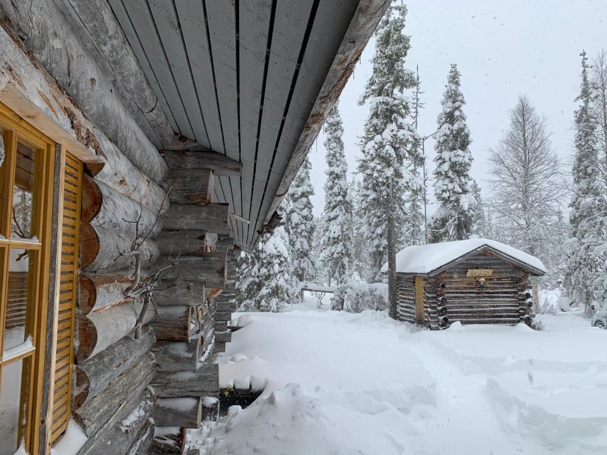 Logwood Chalet Luosto Extérieur photo